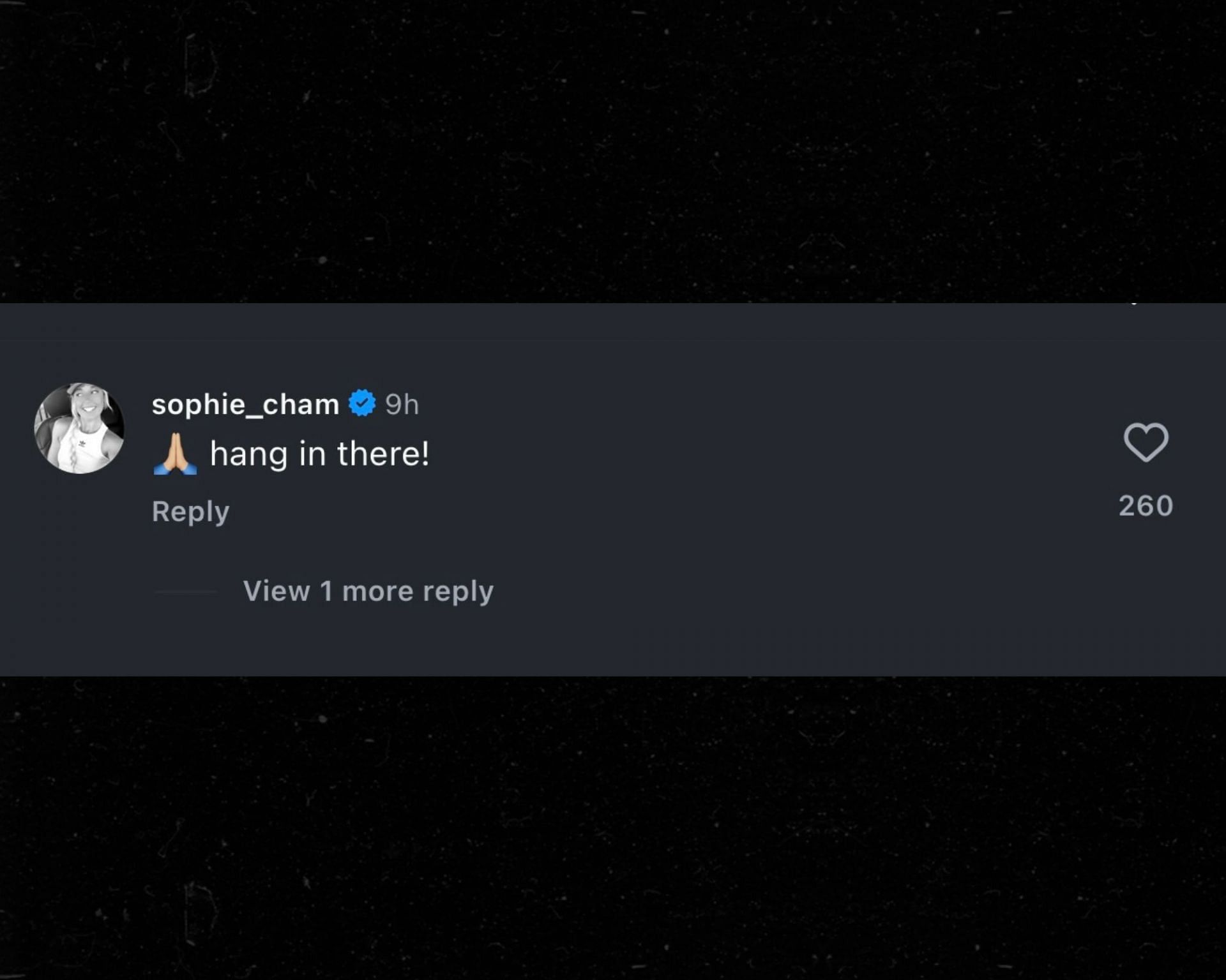 Sophie Cunningham's comment on Jayson Tatum's Instagram update (Credits: @jaytatum0)